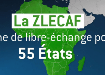 Zone de Libre-Échange en Afrique Centrale : Progrès, Défis et Perspectives