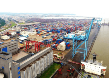 Différents douaniers : enjeux, réformes et perspectives en Afrique Centrale